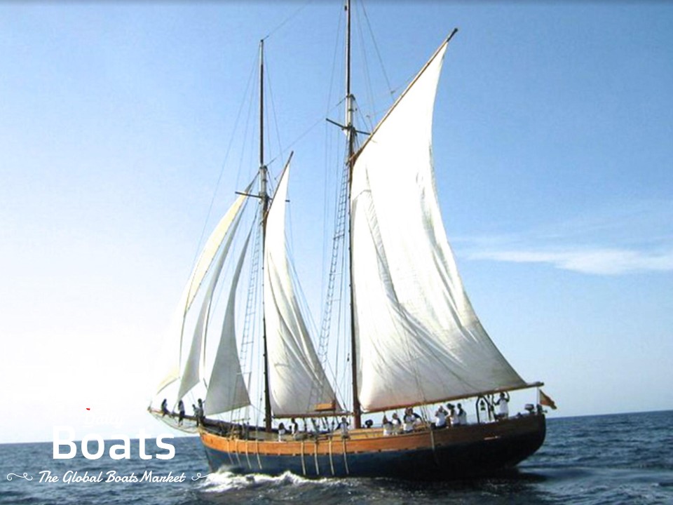 Find the Perfect Commercial Sailing Boat for Your Business Needs