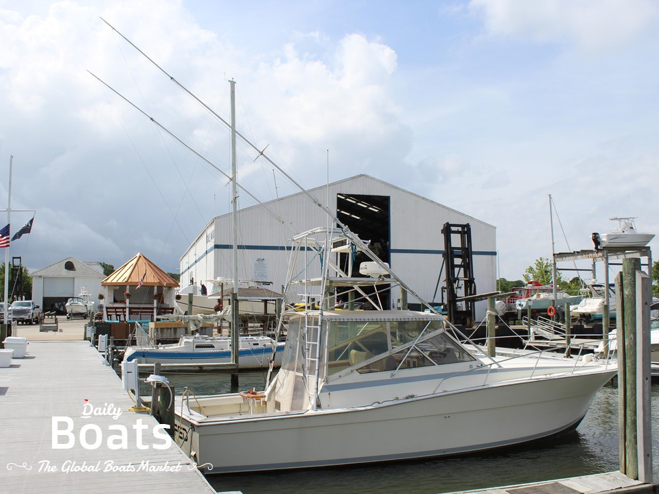 Viking 35 express for sale Daily Boats