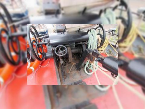 Buy 1901 Hasselter Aak