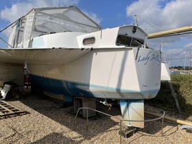 Kupiti 1972 Searunner 40