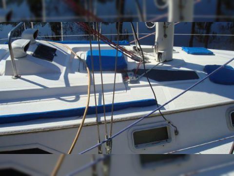 Koupit 1984 Hunter 34