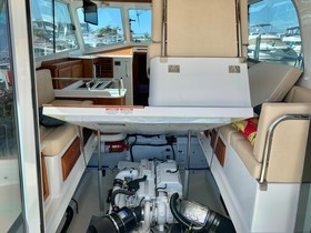 Købe 2019 Back Cove 37
