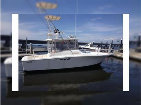 Luhrs 290 Open