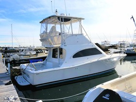 Luhrs 36 Convertible