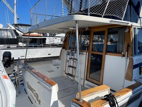 1988 Bayliner 3818 Motoryacht