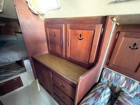 1981 Catalina 38 for sale