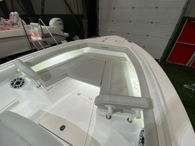 2022 Everglades 253