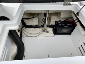 2016 Sea Ray 19 Spx Ob for sale