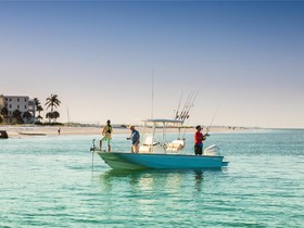 2022 Boston Whaler 210 Montauk