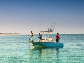 2022 Boston Whaler 210 Montauk for sale