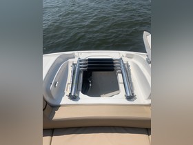 2017 Sea Ray Sdx 270 Outboard
