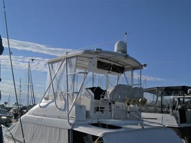 Buy 1998 Silverton 41 Convertible