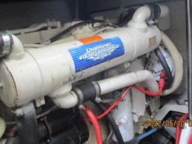 Købe 1998 Formula 41 Pc