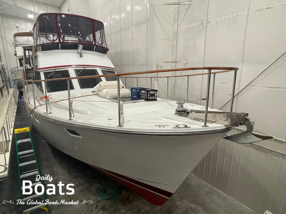 Eagle 42 for sale Daily Boats