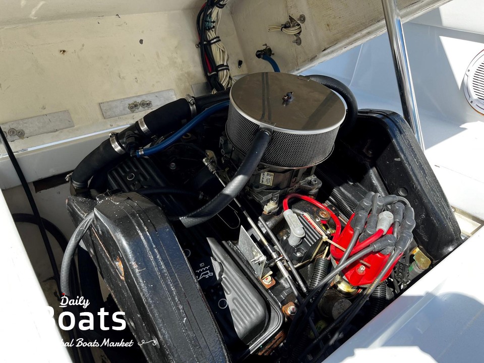 1978 Custom Correct Craft Inc. Fish Nautique for sale. View price