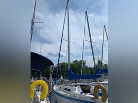 1979 CAL 25-2 for sale