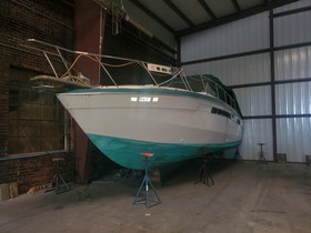 1983 Chris-Craft 336 Commander zu verkaufen