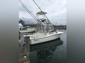 Carolina Classic 28