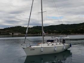 Custom Sailing Boat