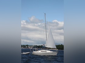 Buy 1989 Jeanneau Sun Light 30