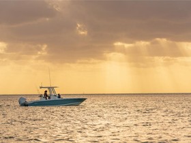 2022 Boston Whaler 250 Dauntless