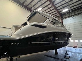 2017 Sea Ray 350 Coupe for sale