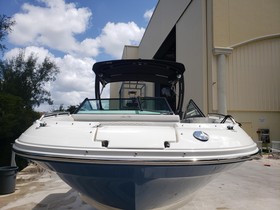 Koupit 2022 Sea Ray Sdx 250 Outboard
