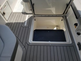2022 Sea Ray Sdx 250 Outboard