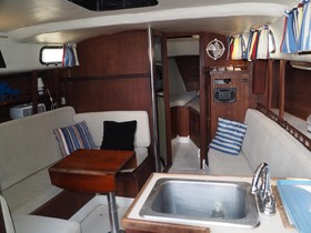 1981 Allmand Sail 31 za prodaju