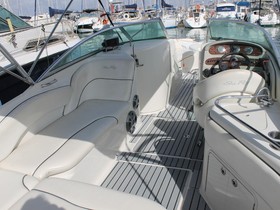 2006 Sea Ray 240 Sundeck satın almak