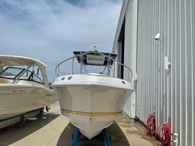 2005 Donzi 29 for sale