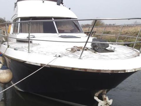 Buy 1973 Powles 38