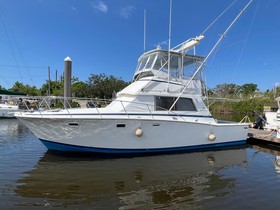 Buy 1984 Bertram 38 Convertible