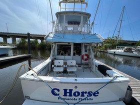 Acquistare 1984 Bertram 38 Convertible