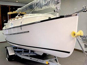 Buy 2022 Com-Pac Sunday Cat
