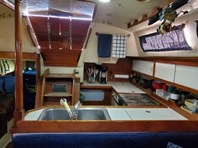 1988 Catalina 36 eladó