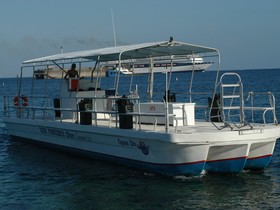 1987 Custom Platform Snorkel til salg
