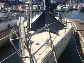 Peterson 33 Chita