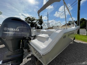 2018 Key West 203 Dfs kopen