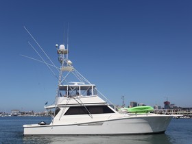 Buy 1989 Viking 57 Convertible