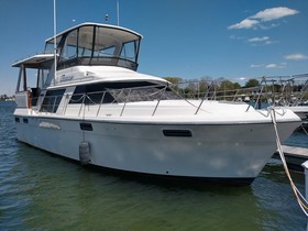 Carver 4207