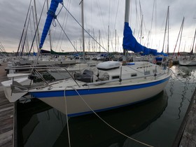 Kupiti 1982 Pearson 303