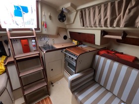 Kupiti 1982 Pearson 303