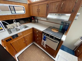 Buy 1985 Tollycraft 40 Sundeck Motor Yacht