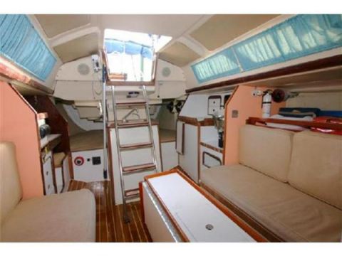 Osta 1982 Frers 36