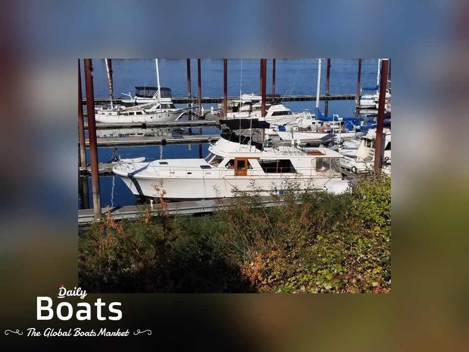 1981 Canoe Cove 53 Sedan for sale. View price, photos and Buy 1981