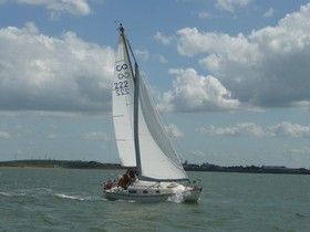 Contessa 26