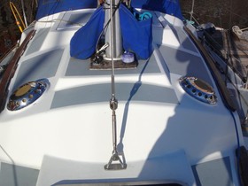 1978 Seal 28 for sale