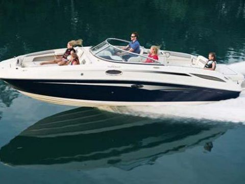 Chris-Craft 232 Crowne