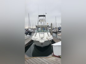 2003 Wellcraft 270 Coastal Aka Aquasport 275 Explorer kopen